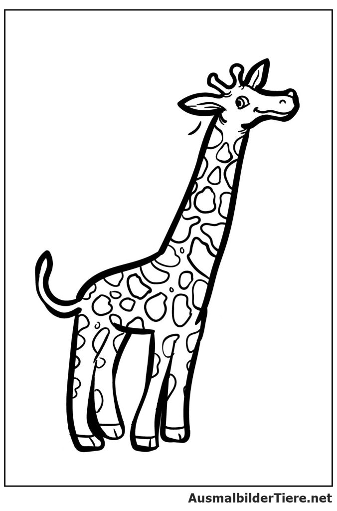 Ausmalbilder Giraffe Kostenlos Als Pdf