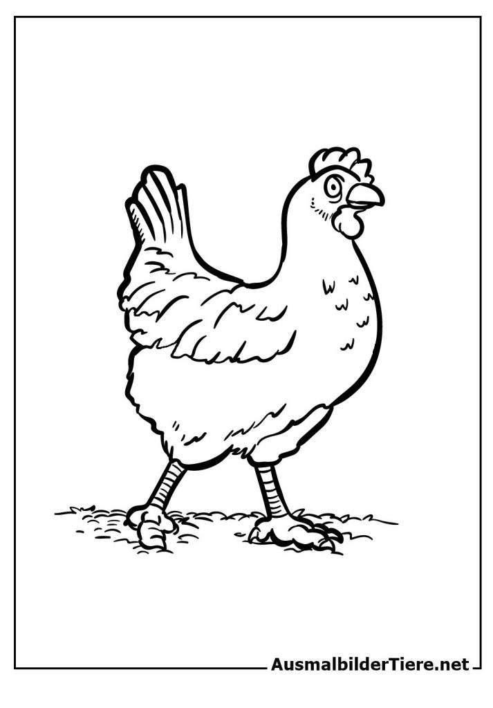 Huhn Malvorlagen Einfach