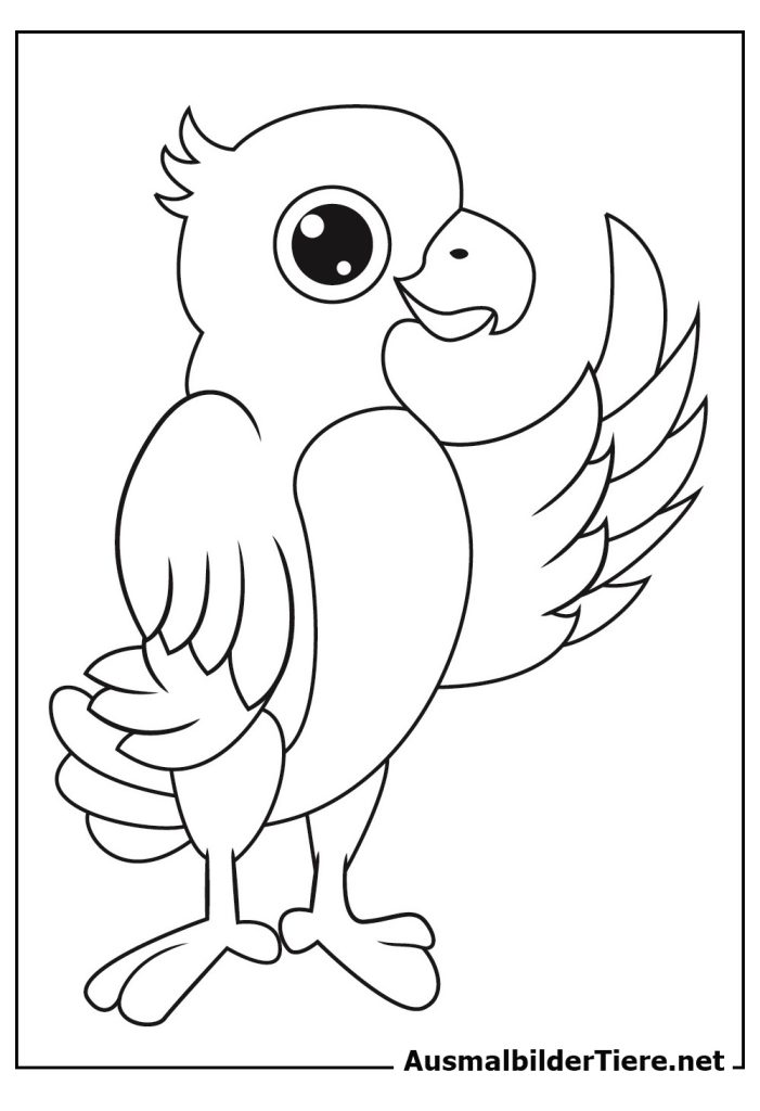 Papagei Ausmalbild PDF