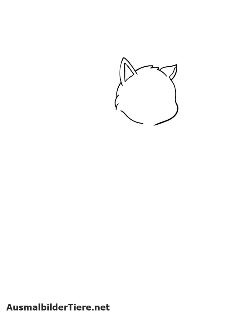 Katze Zeichnen Schritt 3