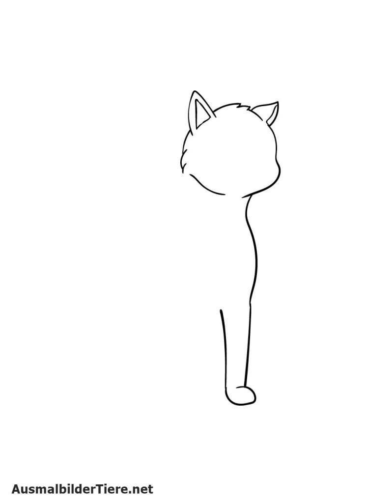 Katze Zeichnen Schritt 4