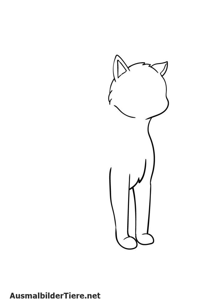Katze Zeichnen Schritt 5