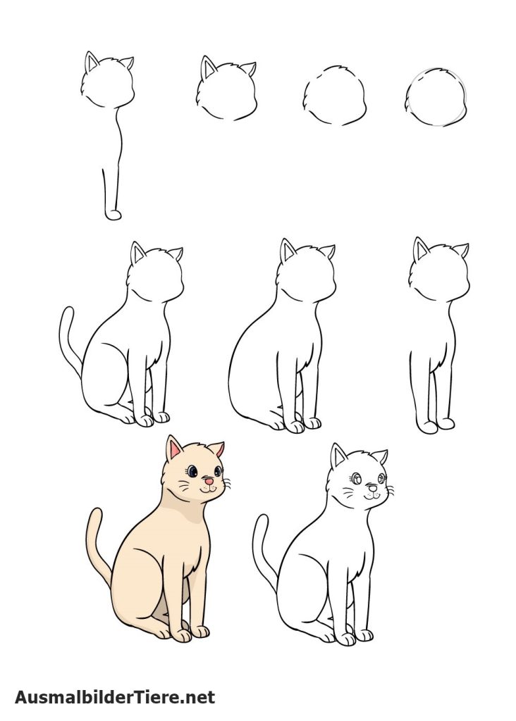 Katze Zeichnet 9 Schritt für Schritt