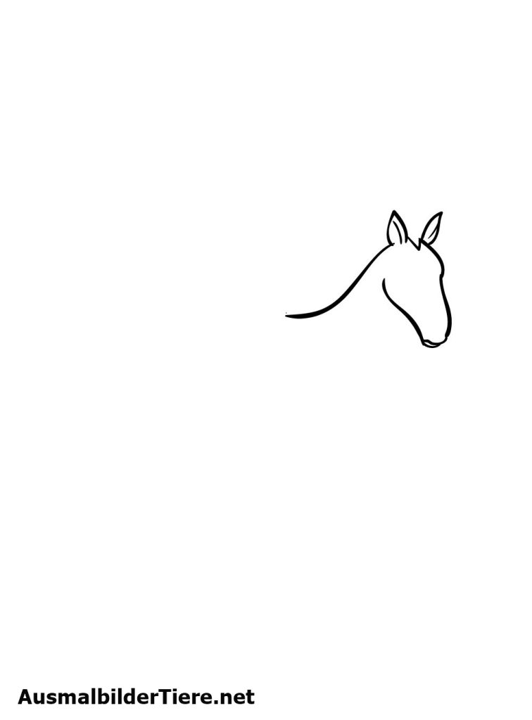 Pferde Zeichnen Schritt 2