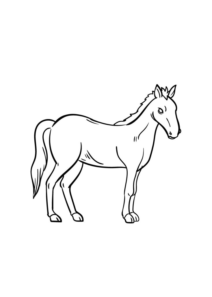 Pferde Zeichnen Schritt 8